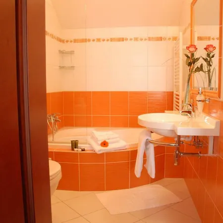 Komorni Hurka 4* Cheb