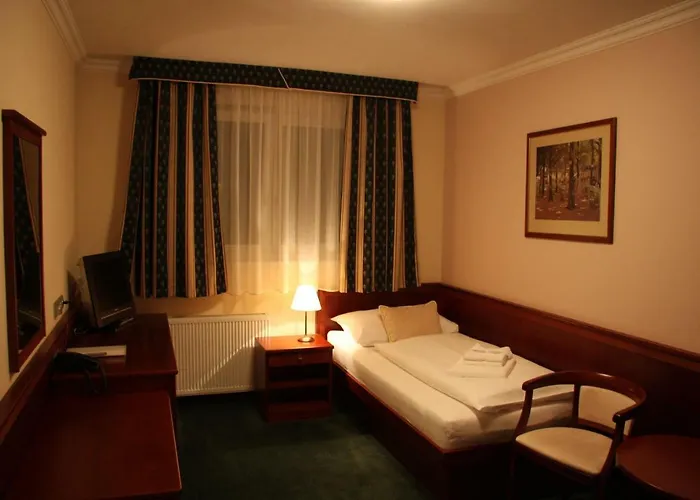 Komorni Hurka 4* Cheb