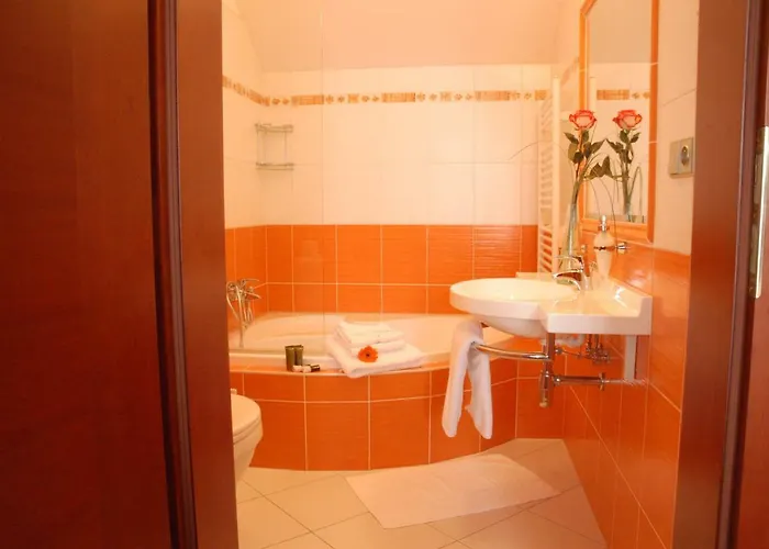 Komorni Hurka 4* Cheb